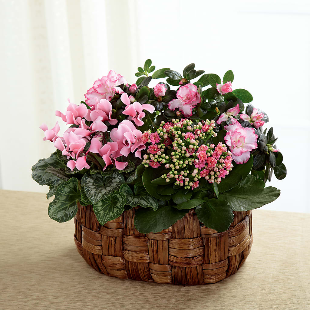 Pink Assortment – LULU & J FLOWERS, Orange CA