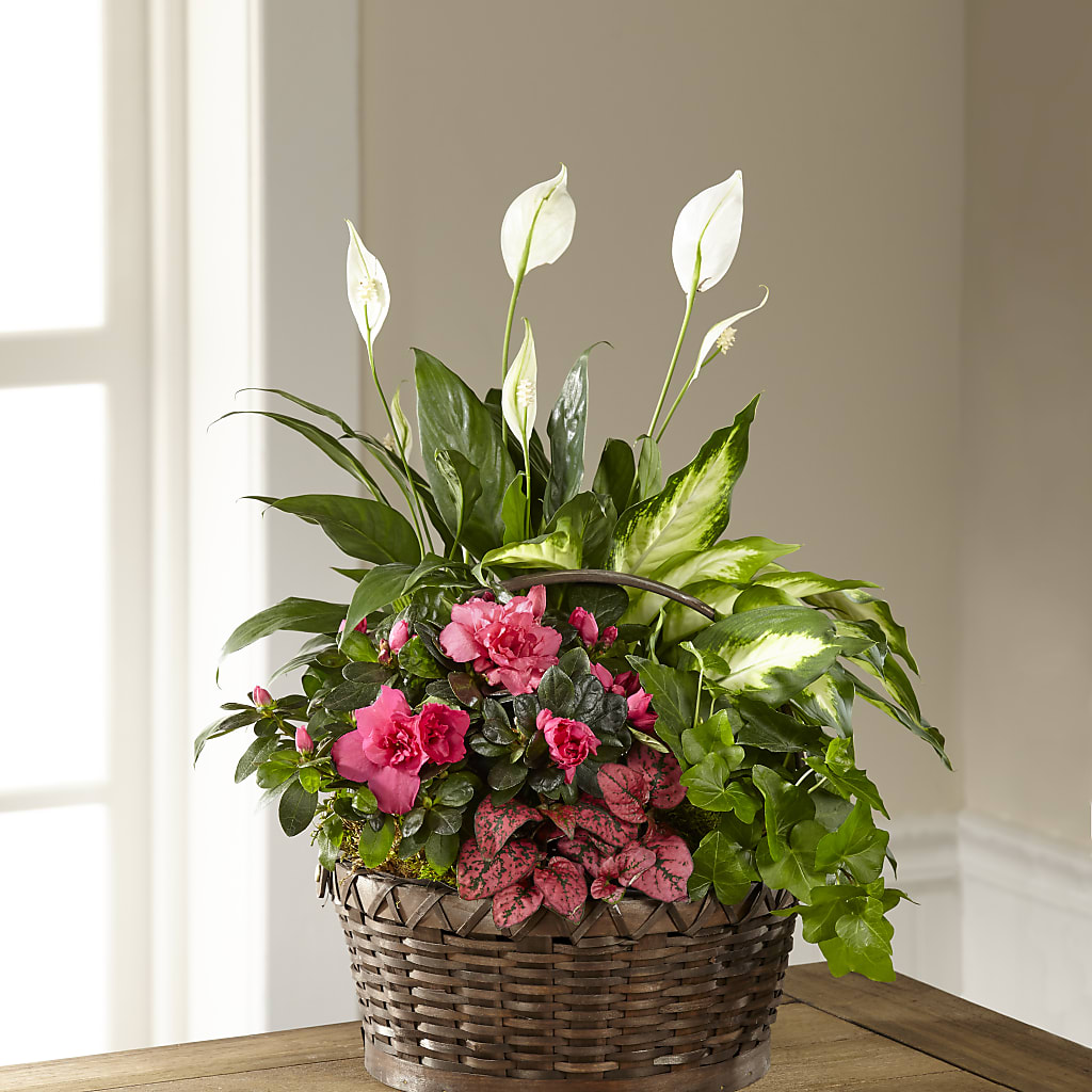 Dream in Pink Dishgarden – LULU & J FLOWERS, Orange CA