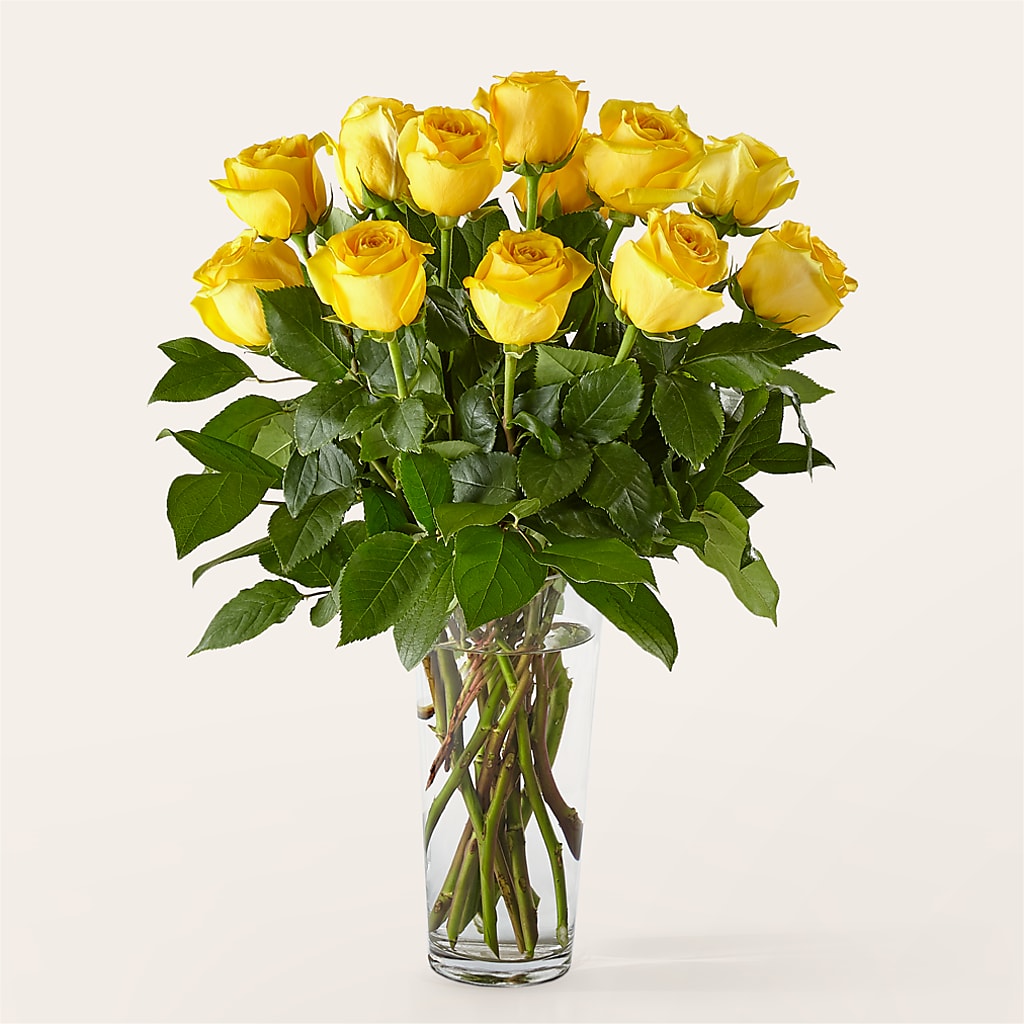 Long Stem Yellow Rose Bouquet – LULU & J FLOWERS, Orange CA