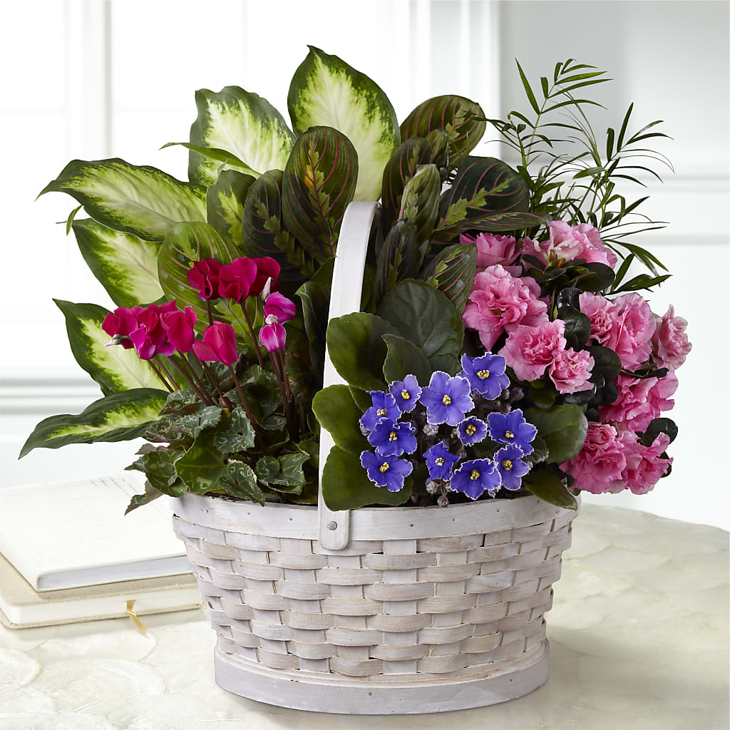 Peaceful Garden Planter – LULU & J FLOWERS, Orange CA