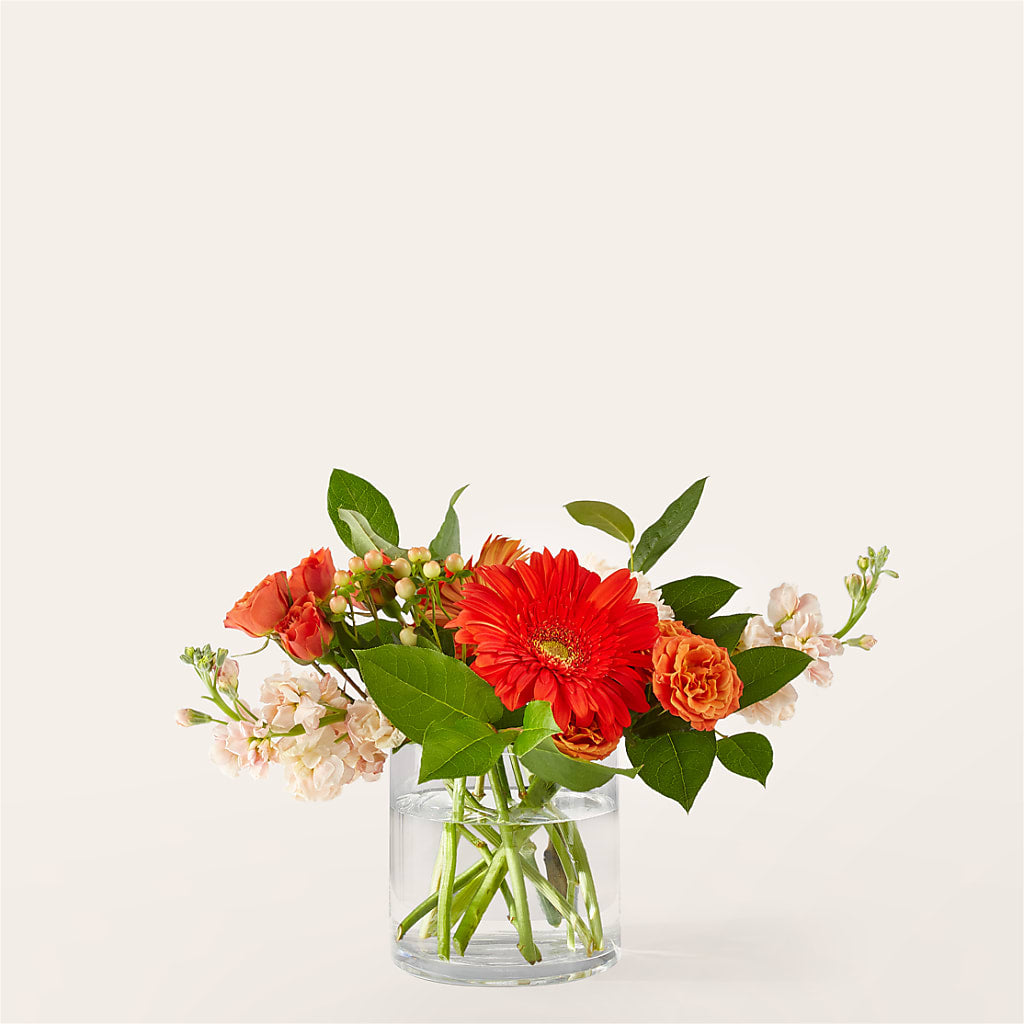 Paloma Please Bouquet – LULU & J FLOWERS, Orange CA