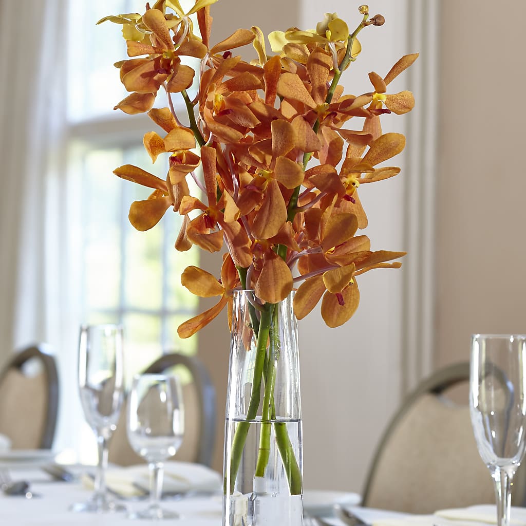 Orange Mokara Bud Vase – LULU & J FLOWERS, Orange CA