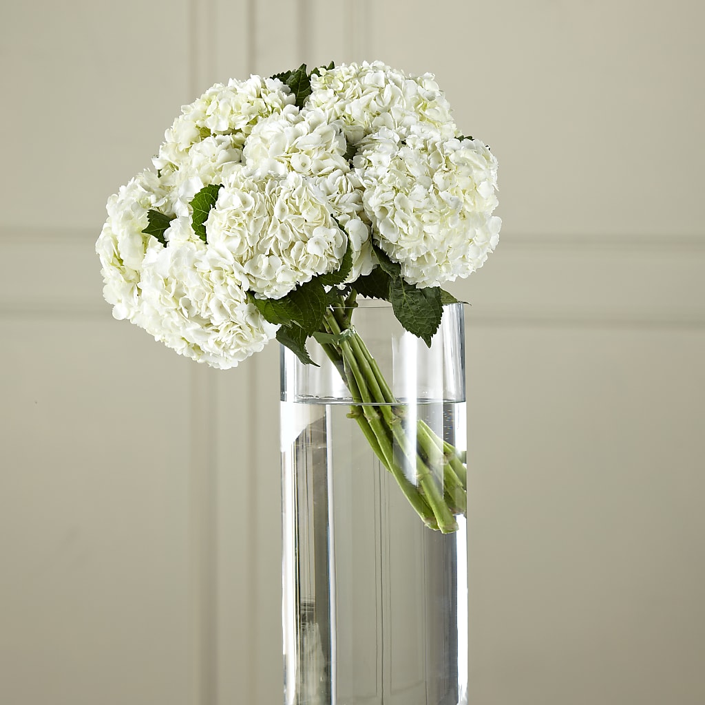 White Hydrangea Hand-Tied Bouquet – LULU & J FLOWERS, Orange CA