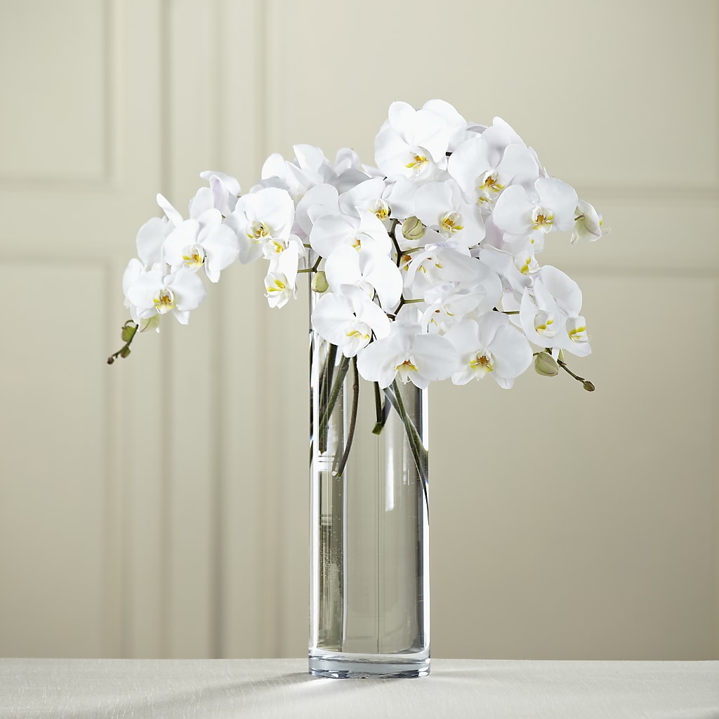 White Phalaenopsis Bouquet – LULU & J FLOWERS, Orange CA