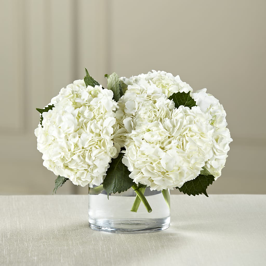 White Hydrangea Bouquet – LULU & J FLOWERS, Orange CA