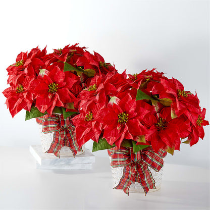 Happiest Holidays Poinsettia Bundle – LULU & J FLOWERS, Orange CA
