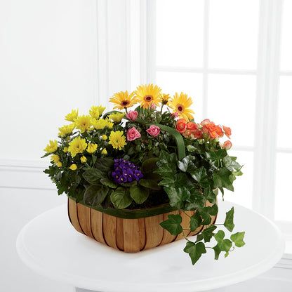 Gentle Blossoms Basket – LULU & J FLOWERS, Orange CA