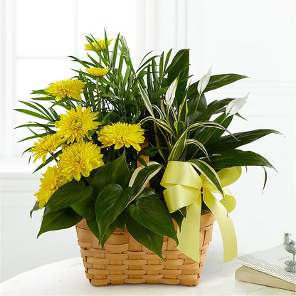 Loving Light Dishgarden – LULU & J FLOWERS, Orange CA