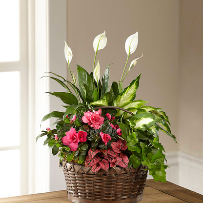 Dream in Pink Dishgarden – LULU & J FLOWERS, Orange CA