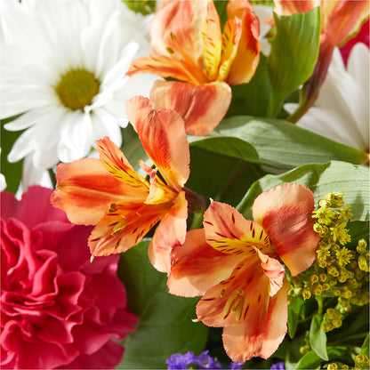 Oopsie Daisy Box Bouquet – LULU & J FLOWERS, Orange CA