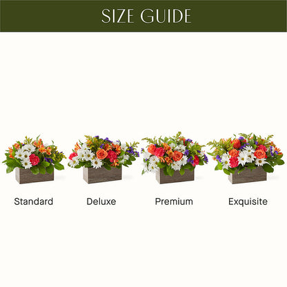 Oopsie Daisy Box Bouquet – LULU & J FLOWERS, Orange CA