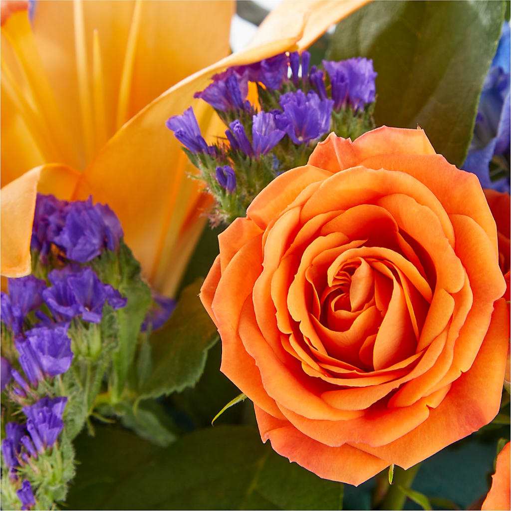 Radiant Citrus Box Bouquet – LULU & J FLOWERS, Orange CA