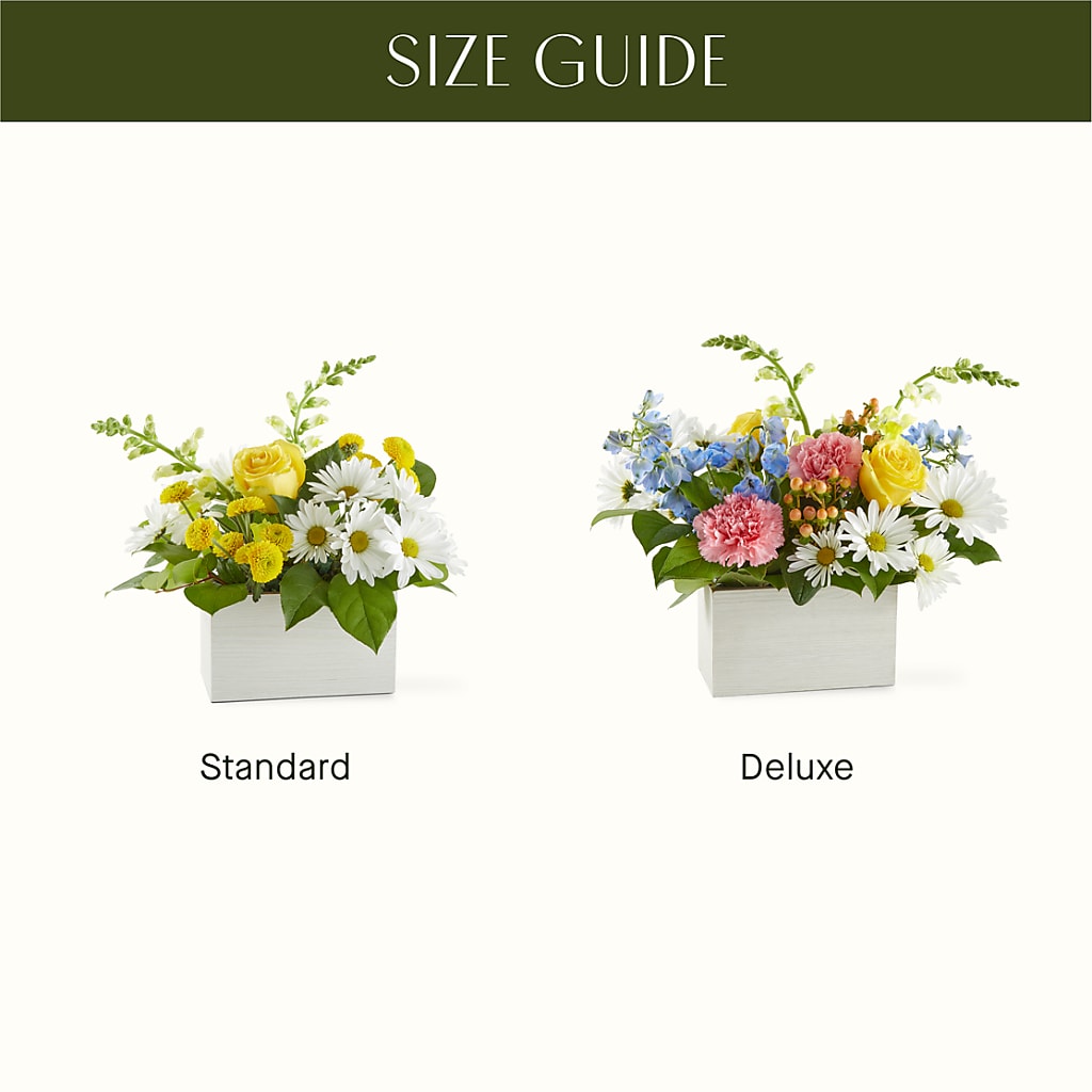 Sun Salutation Box Bouquet – LULU & J FLOWERS, Orange CA