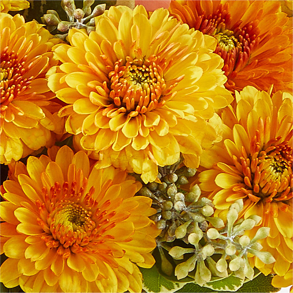 Peachy Pumpkin – LULU & J FLOWERS, Orange CA