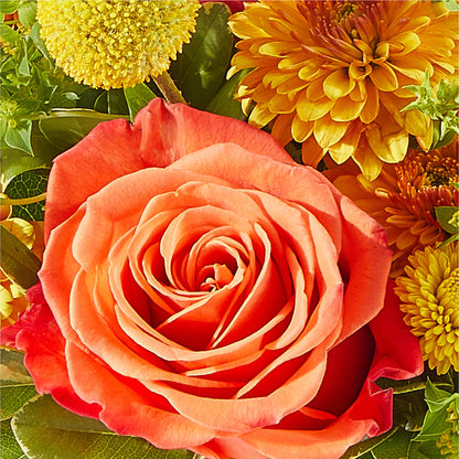 Gourdgeous Pumpkin – LULU & J FLOWERS, Orange CA