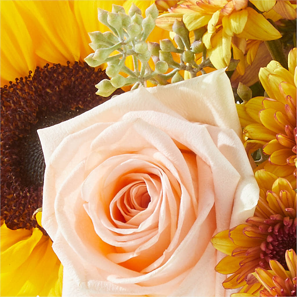Pumpkin to Talk About Bouquet – LULU & J FLOWERS, Orange CA