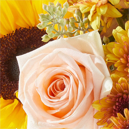 Pumpkin to Talk About Bouquet – LULU & J FLOWERS, Orange CA