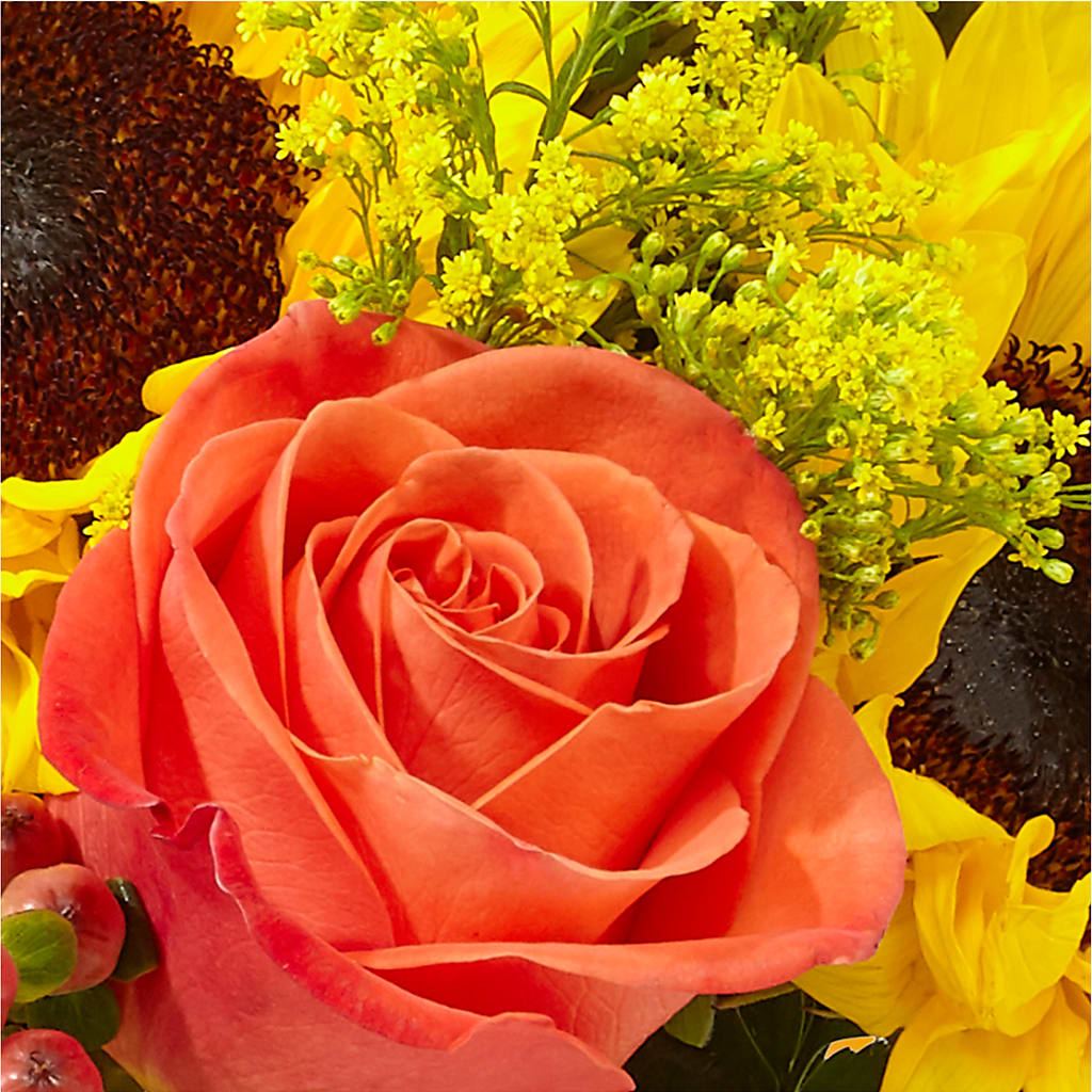 Pick of the Patch Pumpkin Bouquet – LULU & J FLOWERS, Orange CA