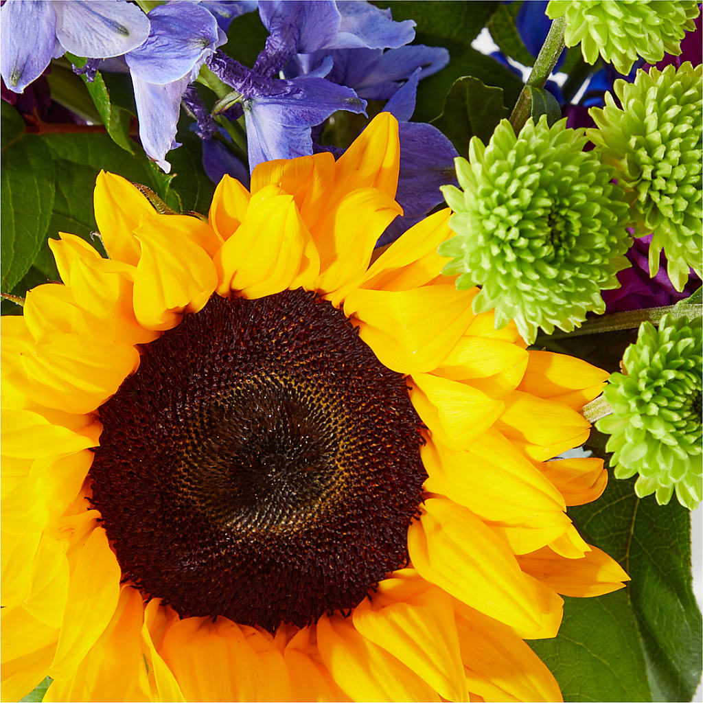 Catching Rays Bouquet – LULU & J FLOWERS, Orange CA