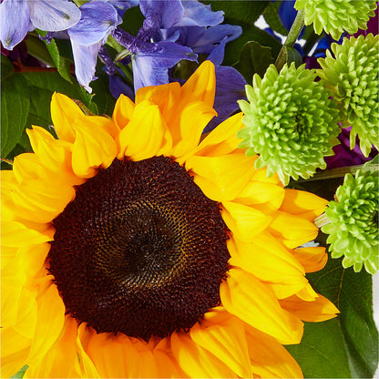 Catching Rays Bouquet – LULU & J FLOWERS, Orange CA