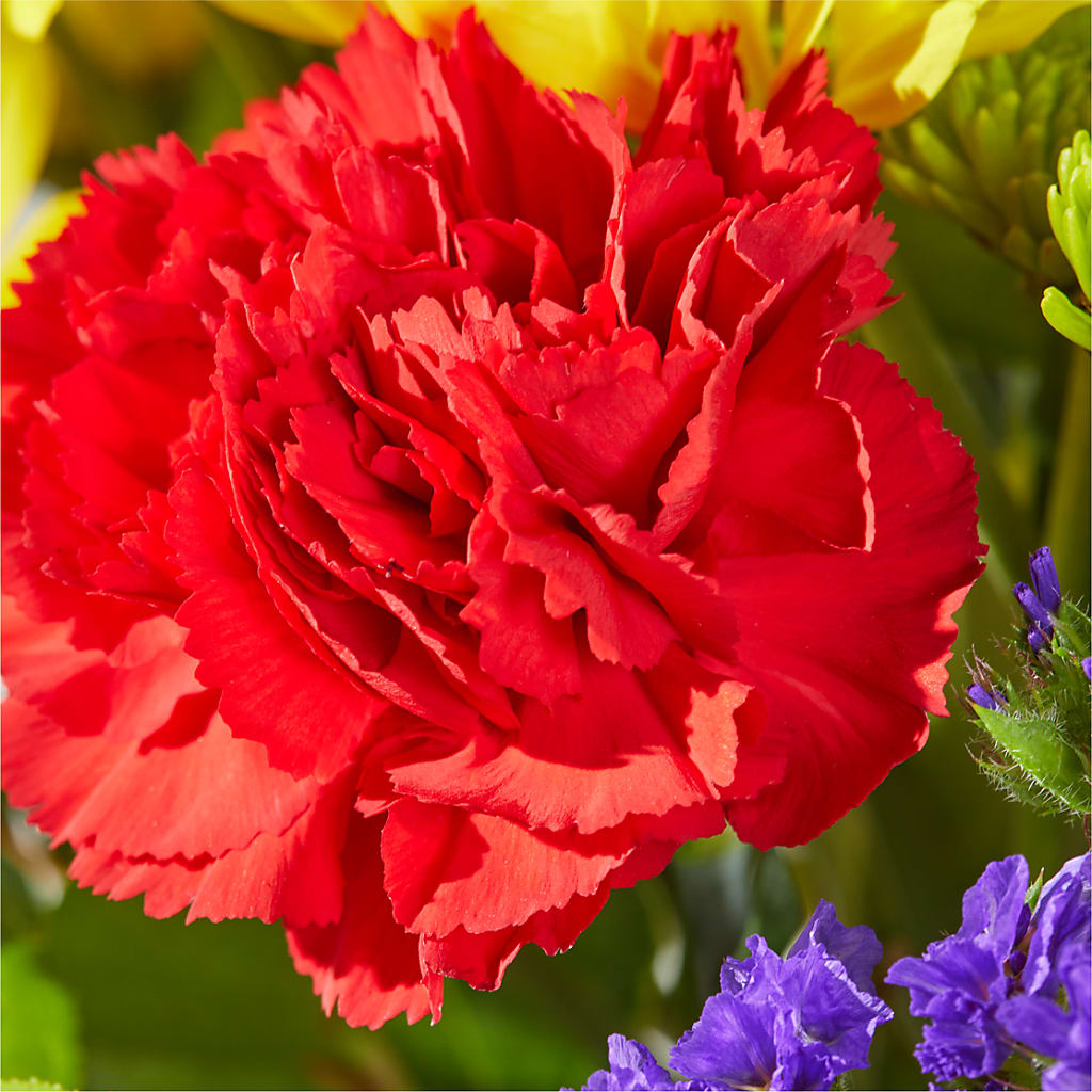 Brighter Days Bouquet – LULU & J FLOWERS, Orange CA