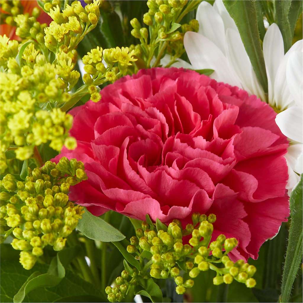 Oopsie Daisy Bouquet – LULU & J FLOWERS, Orange CA