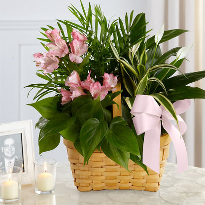 Living Spirit Dishgarden – LULU & J FLOWERS, Orange CA