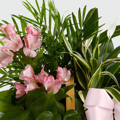 Living Spirit Dishgarden – LULU & J FLOWERS, Orange CA