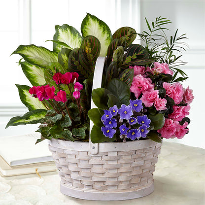 Peaceful Garden Planter – LULU & J FLOWERS, Orange CA