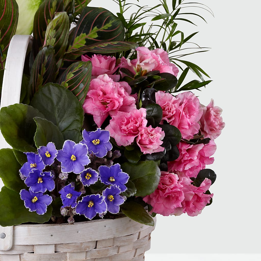 Peaceful Garden Planter – LULU & J FLOWERS, Orange CA