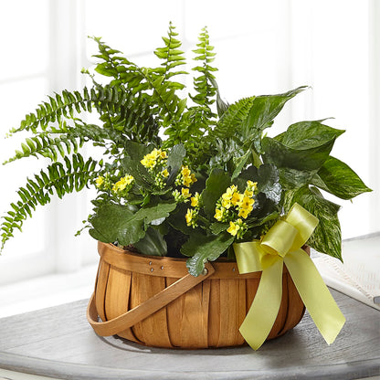 Always Dear Dishgarden – LULU & J FLOWERS, Orange CA