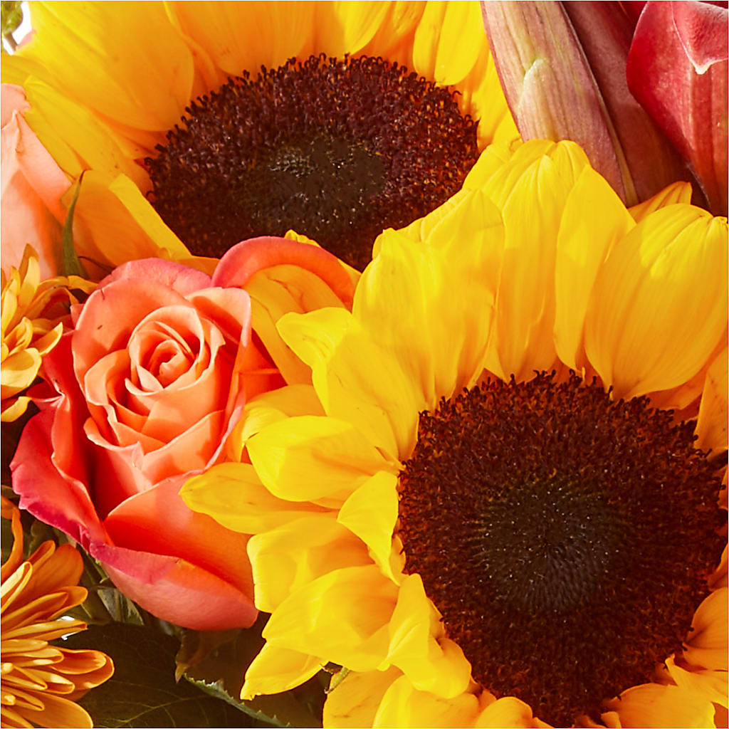 Acorn Lane Bouquet – LULU & J FLOWERS, Orange CA