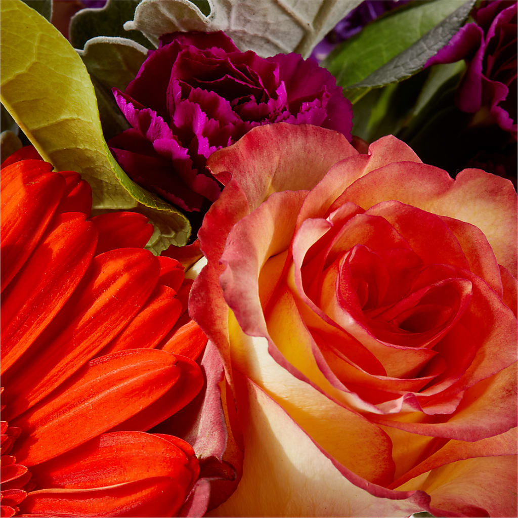Sangria Bouquet – LULU & J FLOWERS, Orange CA