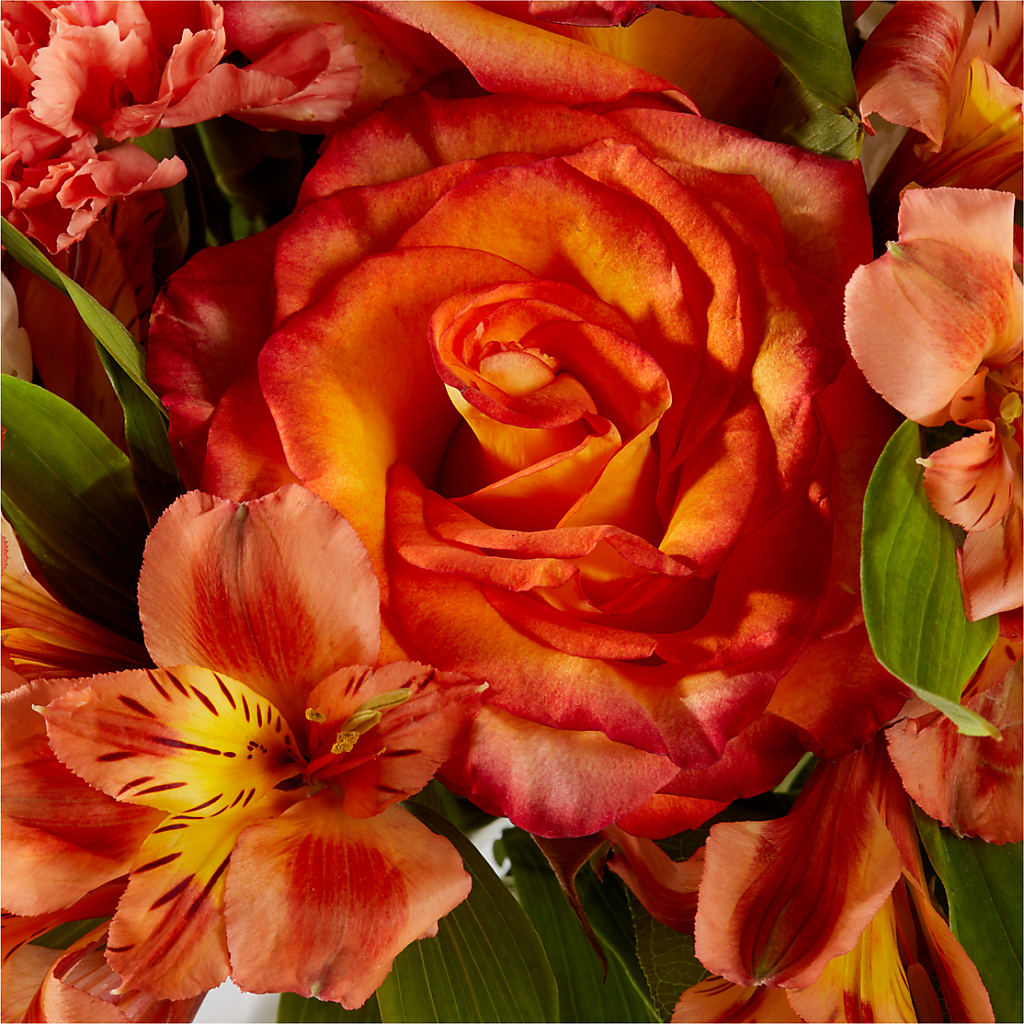 Apricot Glow Bouquet – LULU & J FLOWERS, Orange CA
