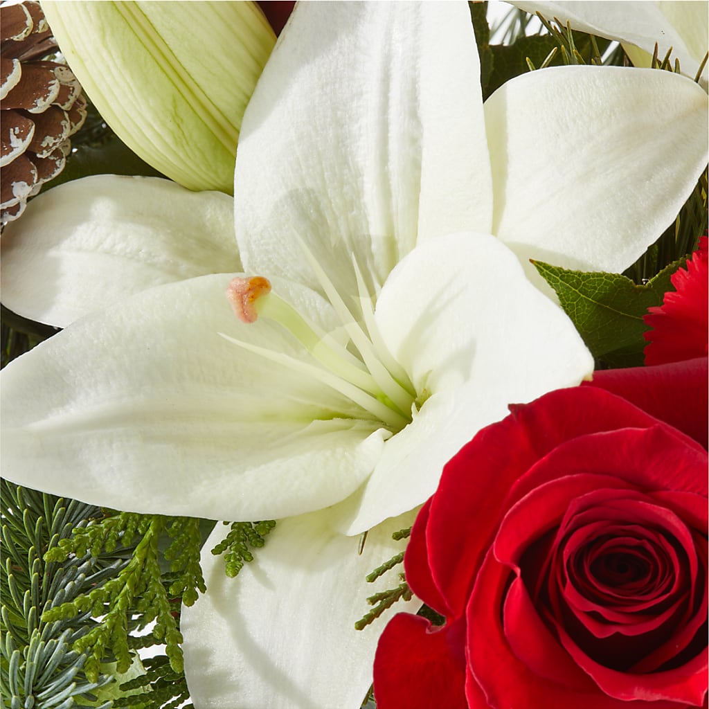 Oh So Jolly Bouquet – LULU & J FLOWERS, Orange CA
