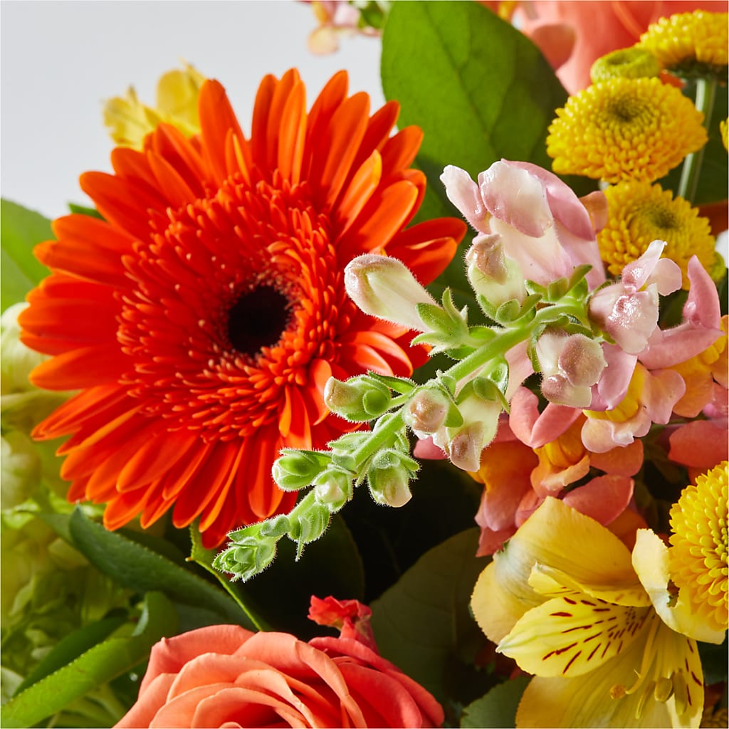 Autumn Sunshine Bouquet – LULU & J FLOWERS, Orange CA