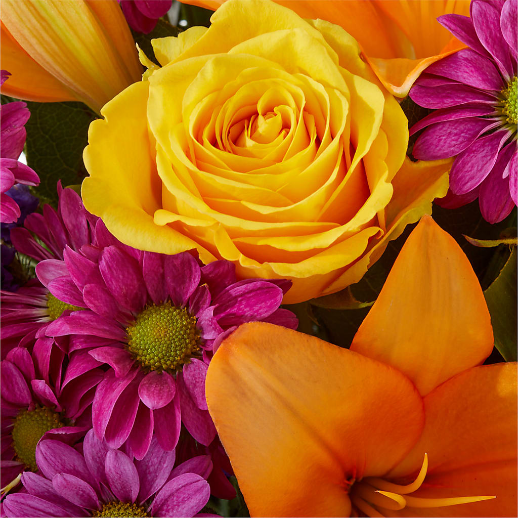 Colorful Visions Bouquet – LULU & J FLOWERS, Orange CA