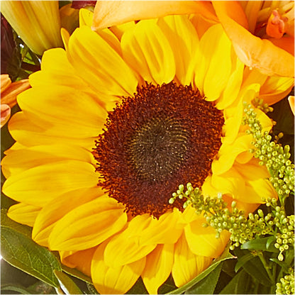 Seasons Change Bouquet – LULU & J FLOWERS, Orange CA
