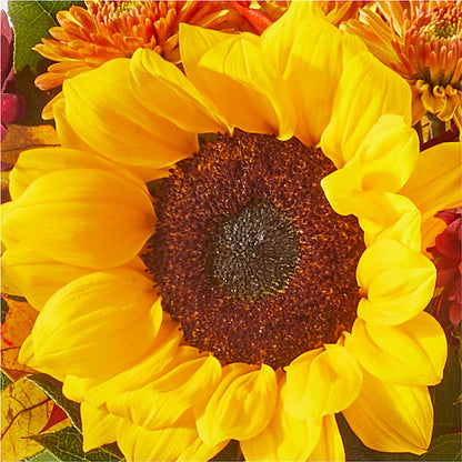 Sunny Side Bouquet – LULU & J FLOWERS, Orange CA