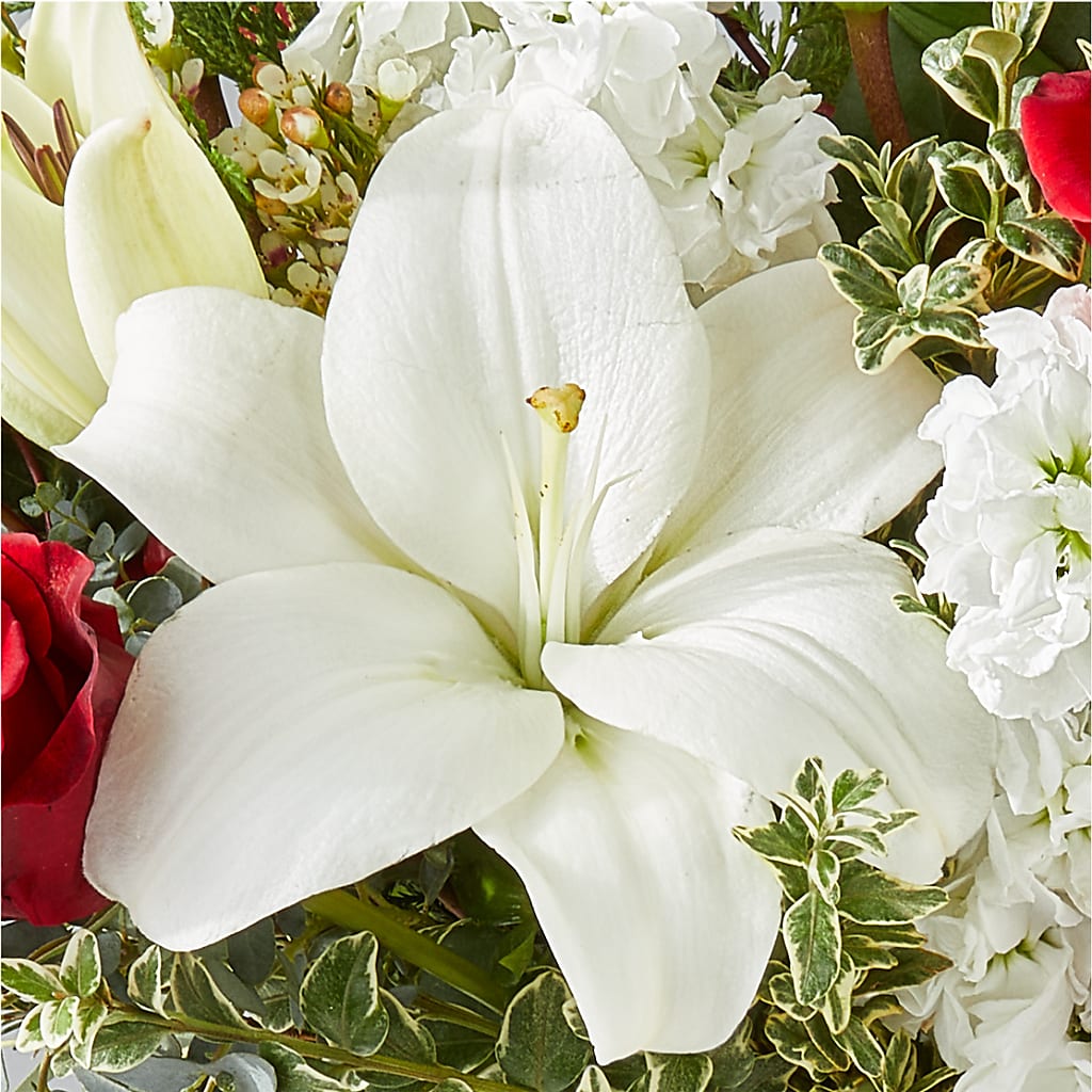Twinkle Lights Bouquet – LULU & J FLOWERS, Orange CA