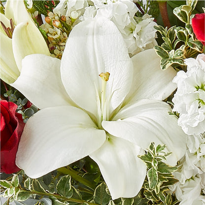 Twinkle Lights Bouquet – LULU & J FLOWERS, Orange CA