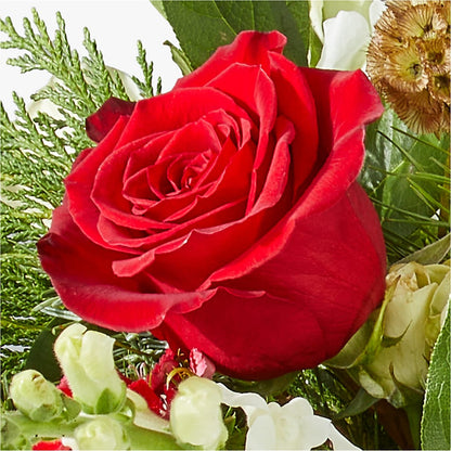 Deck the Halls Bouquet – LULU & J FLOWERS, Orange CA