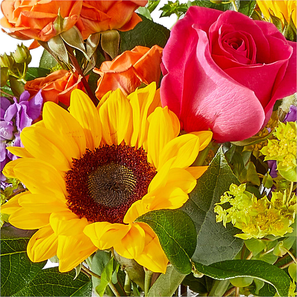 Vibrant Greetings Bouquet – LULU & J FLOWERS, Orange CA