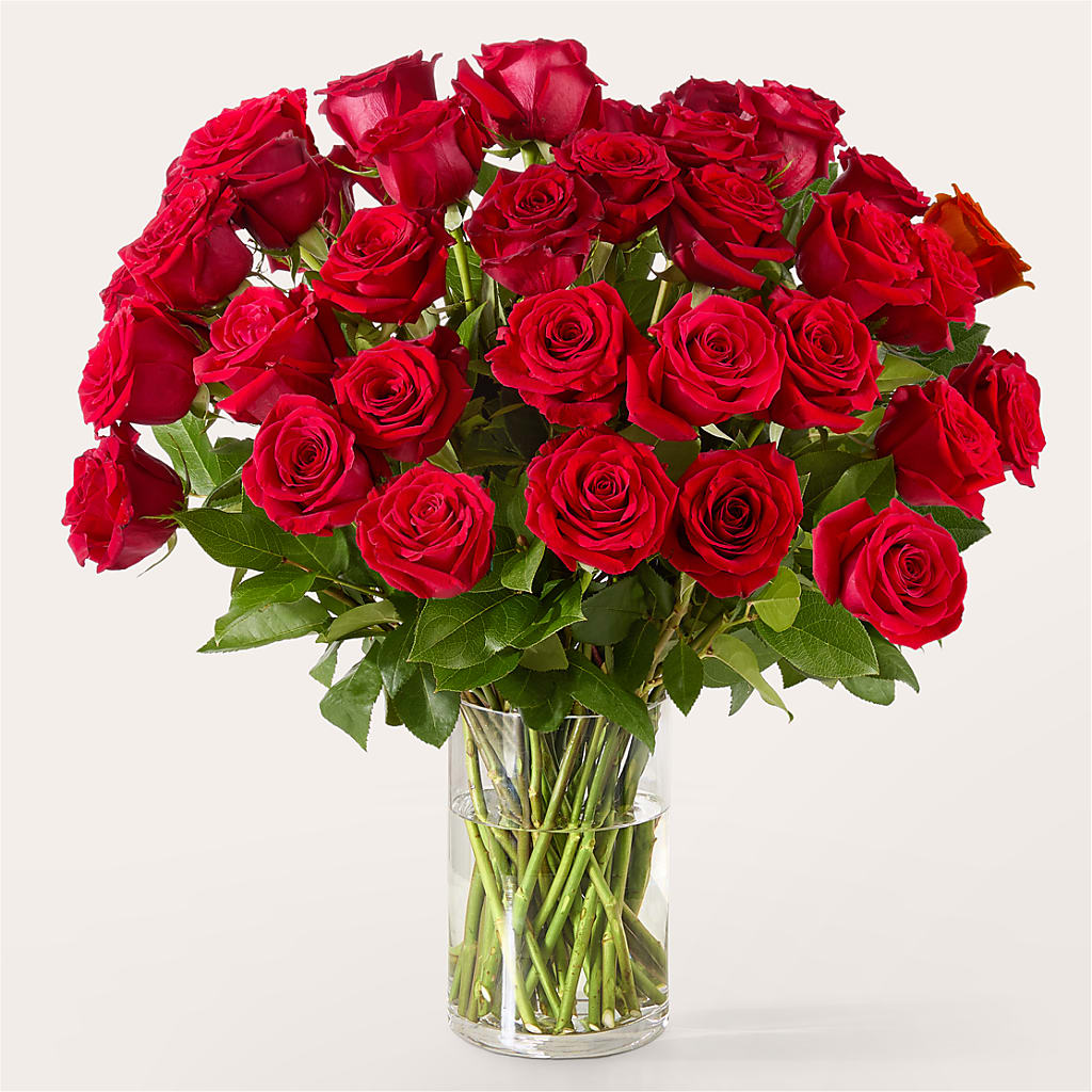 The One Red Rose Bouquet – LULU & J FLOWERS, Orange CA