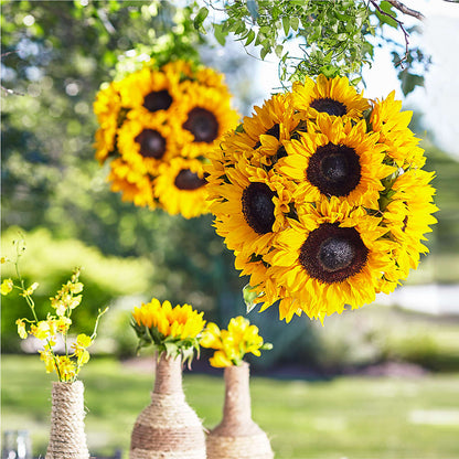 Sublime Garden Hanging Arrangement – LULU & J FLOWERS, Orange CA