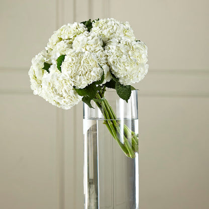 White Hydrangea Hand-Tied Bouquet – LULU & J FLOWERS, Orange CA