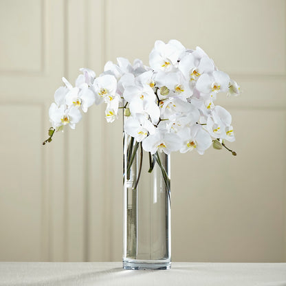 White Phalaenopsis Bouquet – LULU & J FLOWERS, Orange CA