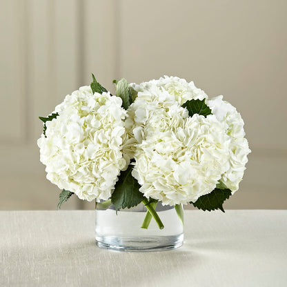 White Hydrangea Bouquet – LULU & J FLOWERS, Orange CA